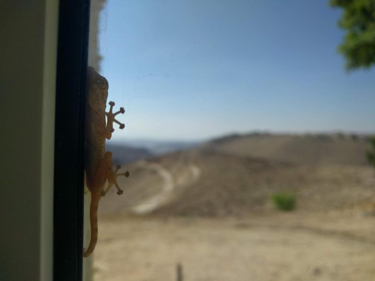 Dead Sea Desert'S Edge Arad Exterior photo